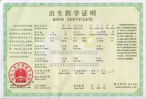出生证明公证，确保身份合法性的桥梁