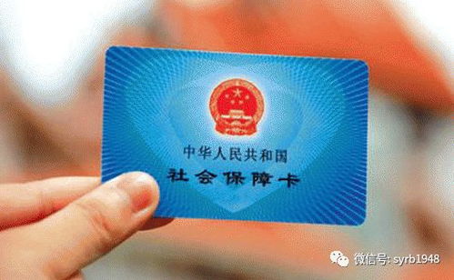 沈阳社保查询，轻松掌握您的社会保障信息