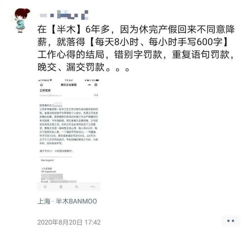 休产假员工的心得体会，平衡工作与家庭的艺术