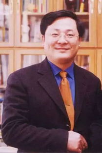 袁宝璟案，法律公正与重审的可能性探讨