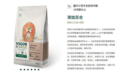 如何成为成功的狗粮代理商，策略、技巧与市场洞察