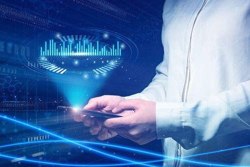 探索美国政治避难，理解、影响与未来展望