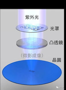 探索美国政治避难，理解、影响与未来展望