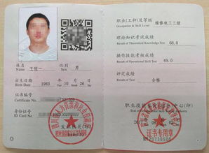 电工证年审，重要性、流程与常见问题解答