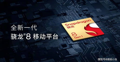 网络广告的多样化表现，从横幅到互动体验