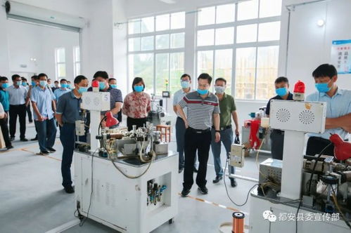 探索河池市政府网，深入了解地方政策与服务