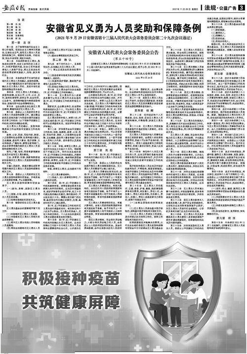 见义勇为条例，正义的力量与法律的守护