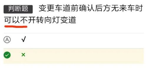 阜新违章查询全攻略，如何快速、准确地掌握你的违章信息