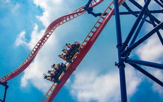 心跳加速，过山车事故背后的科学与安全