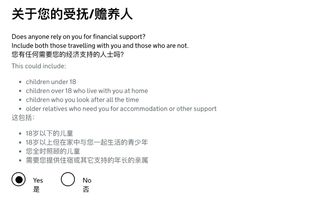 深入了解叙利亚签证，旅行前的准备与注意事项