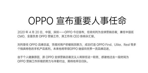 广州疫情二次爆发，挑战与应对，城市如何迅速反应与恢复