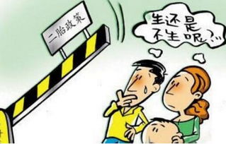 安徽省计划生育政策的历史演变与现代影响