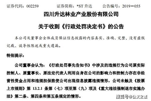 深入了解升达林业股票，投资前必读指南