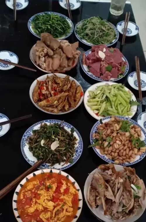 罗马法的影响，从古罗马到现代生活的桥梁