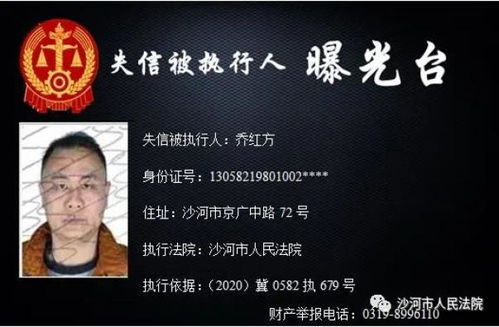 全国被执行人信息，法律的执行与社会信用体系的构建