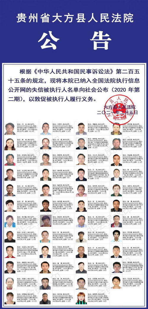 全国被执行人信息，法律的执行与社会信用体系的构建