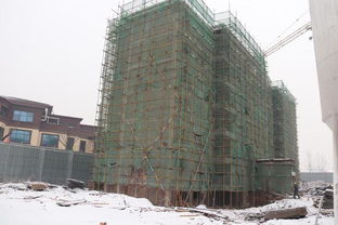 黑龙江的暂停键，封城背后的生活与希望