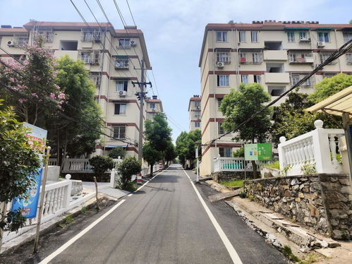 广州公租房，为城市居民提供温馨家园的解决方案