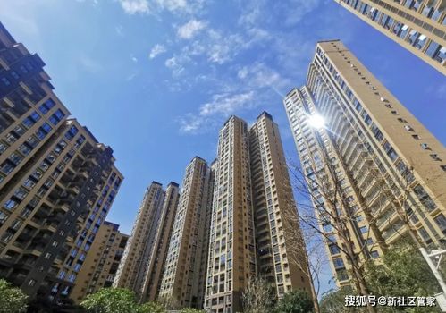 新蔡县二手房市场深度解析，投资与自住的双重视角