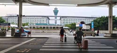 甘肃疫情最新动态，今日新增病例数及防控措施解析