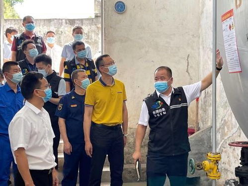 百色市疫情最新消息，理解、预防与应对