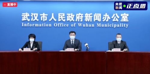 石家庄疫情新动态，新增2例阳性感染者的影响与应对策略