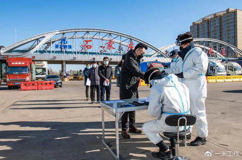 石家庄疫情新动态，新增2例阳性感染者的影响与应对策略