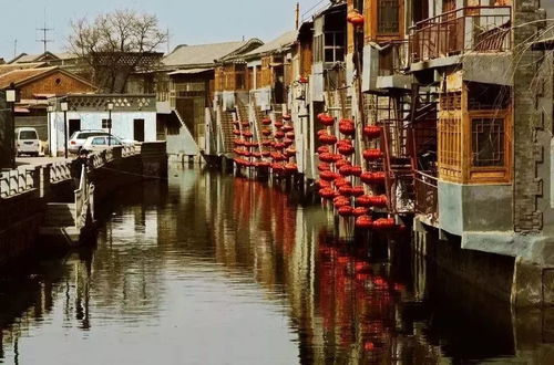 邢台疫情，挑战与应对，一座城市的坚韧与希望