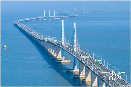 汕尾市政府网，连接市民与政府的桥梁