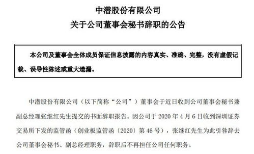 轻松掌握辞职报告，范文指南与生活智慧