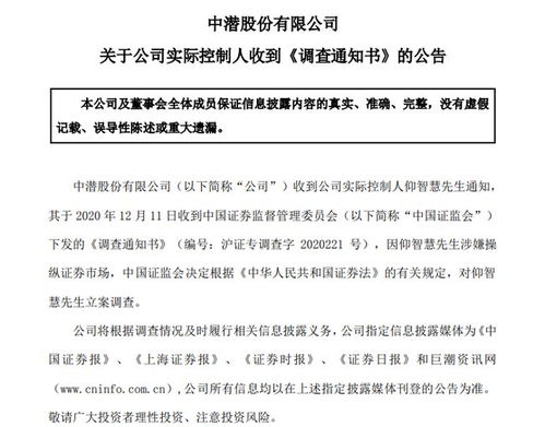 轻松掌握辞职报告，范文指南与生活智慧