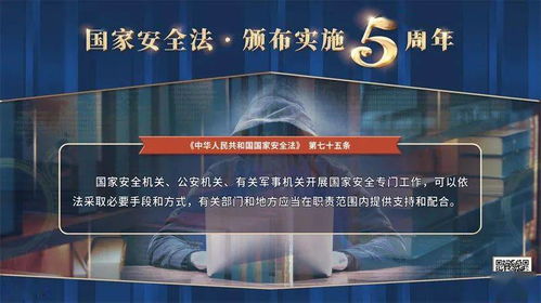 深入解析基本法第二十三条，维护国家安全的法律基石