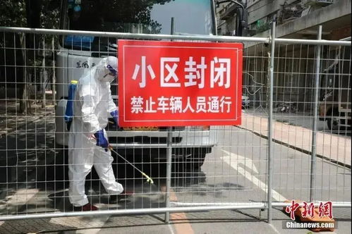 吉林省疫情新动态，新增30例本地确诊的应对与防控措施