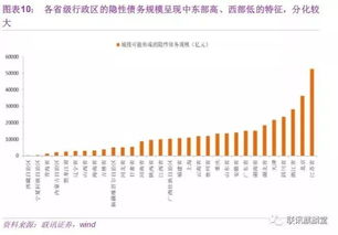 透明的力量，上海市政府信息公开规定的深度解析