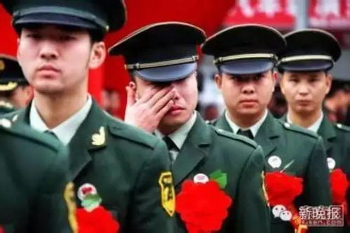 退伍后预备役，了解预备役制度及其对退役军人的影响