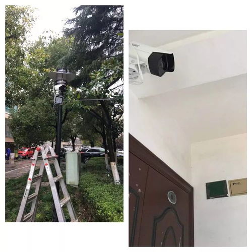 奉贤区的抗疫新篇章，今日疫情动态全解析