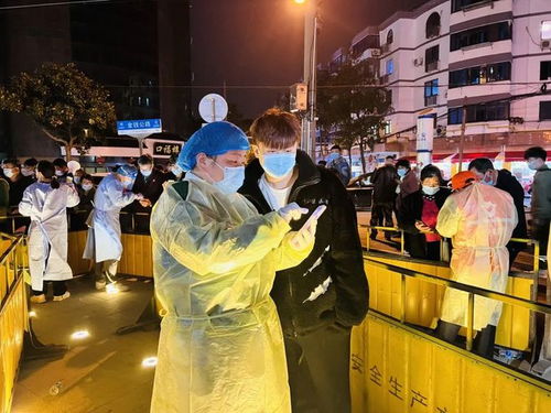 奉贤区的抗疫新篇章，今日疫情动态全解析