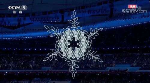冰雪之约，回顾冬季奥运会的辉煌时刻与闭幕式的感动瞬间