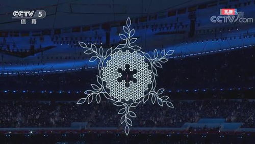 冰雪之约，回顾冬季奥运会的辉煌时刻与闭幕式的感动瞬间