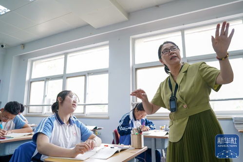 无声世界中的挑战，理解聋哑人犯罪