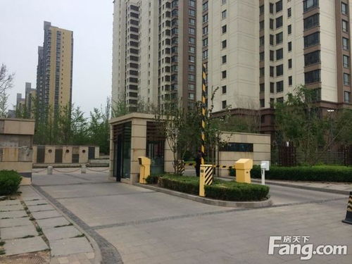 西峰二手房市场深度解析，投资与居住的双重考量