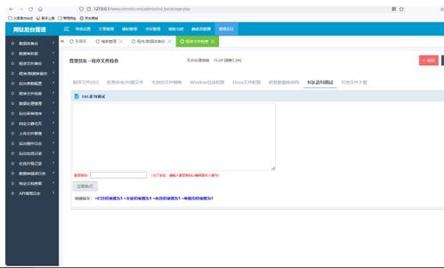 深入解析，审计报告的标准格式与关键要素