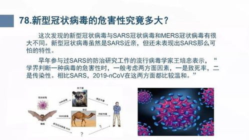 武汉新型冠状病毒，了解、预防与应对
