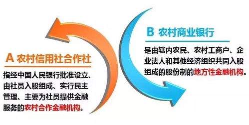 农村信用社贷款，助力农村经济发展的金融力量