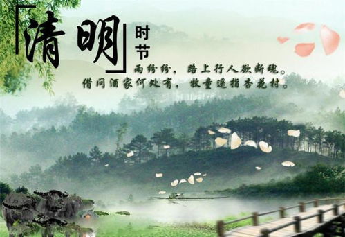 清明时节雨纷纷，高速免费行不行？