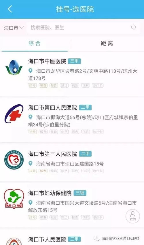 东莞邮政违章查询，便捷、高效，保障您的邮政服务