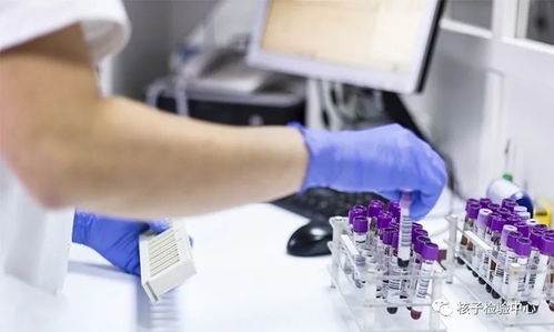 亲子鉴定费用全解析，了解成本，明智选择