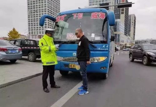 威海电子警察违章查询，智能交通的守护者