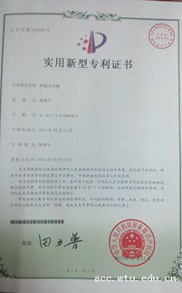 解锁创新之门，深入了解国家专利申请的奥秘