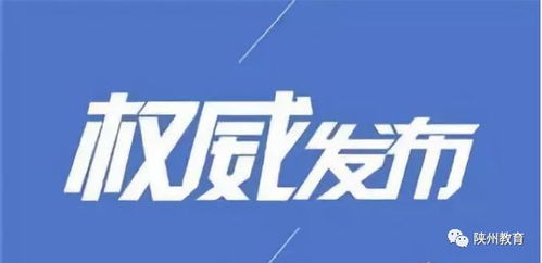 河南担保公司风波，金融安全网的裂痕与警示